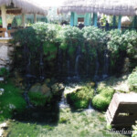 The Quetzal has a series of small waterfalls by their main buffet Iberostar Quetzal waterfalls