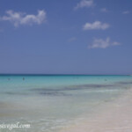 Beach area in front of Palmaia. The dark stuff in the water is the minimal sargassum. Palmaia Playa del Carmen beach and ocean