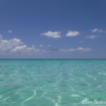 In the water in front of Palmaia looking east Palmaia Playa del Carmen ocean water