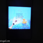 Advert for Saturday's pool party Live Aqua Beach Resort Cancun Pool Party advert