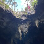 You can jump into this cenote