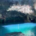 The more sun that enters the cenote, the more blue the water and intense the reflections