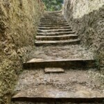 Easiest way out of the cenote