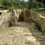 The easiest way into the cenote