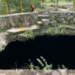 Lots of room for sunlight to enter