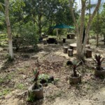 Picnic tables available for those who brought a snack