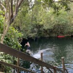 One of the diving platforms is adjacent to the zipline