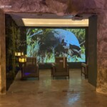 Part of the spa--"relaxation room"