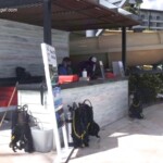 Pick up your towels and sign up for water excursions here