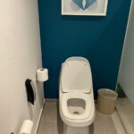 Toilet area