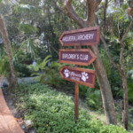 Any budding archers out there?