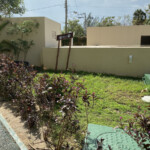 If you brought a small dog on vacation with you there's a place to take for a potty break