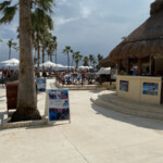 Sign up for water-related excursions here